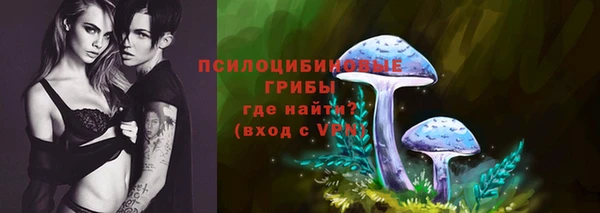 MDMA Бородино