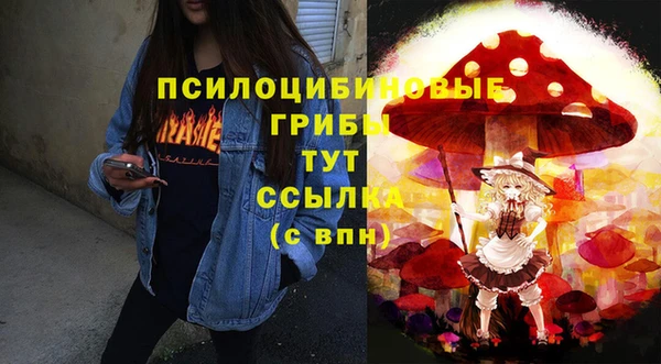 MDMA Бородино