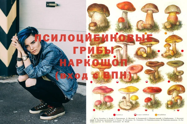 эйфоретик Бронницы